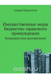 Книга Имущественные меры бюджетно-правового принуждения