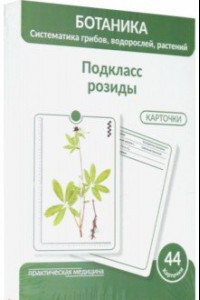 Книга Ботаника. Систематика грибов, водорослей, растений. Подкласс розиды. 44 карточки