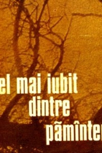 Книга Cel mai iubit dintre paminteni