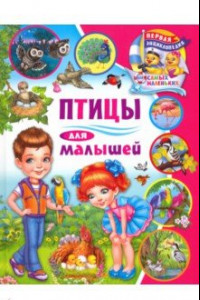 Книга Птицы для малышей