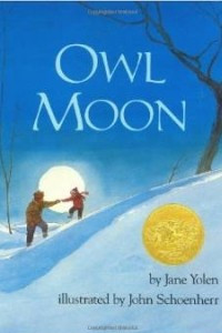 Книга Owl Moon