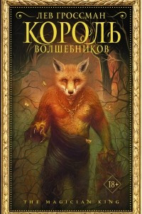 Книга Король волшебников