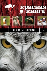 Книга Красная книга. Пернатые России