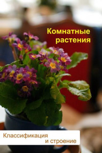 Книга Комнатные растения. Классификация и строение