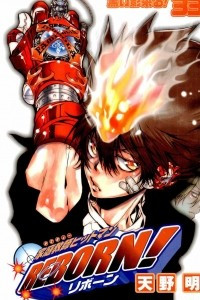 Книга Kateikyoushi Hitman Reborn. Vol.33