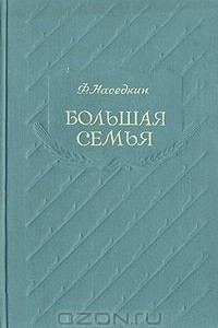 Книга Большая семья