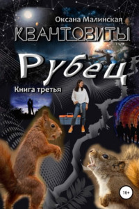 Книга Квантовиты. Книга 3. Рубец