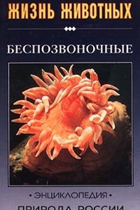 Книга Беспозвоночные