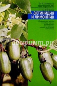 Книга Актинидия и лимонник