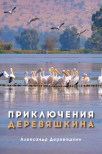 Книга Приключения Деревяшкина