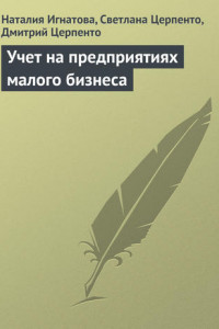 Книга Учет на предприятиях малого бизнеса