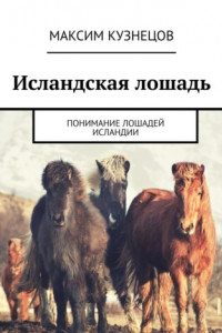 Книга Исландская лошадь. Понимание лошадей Исландии