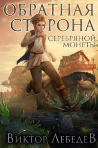 Книга Обратная сторона серебряной монеты