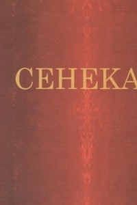 Книга Сенека. Письма к Луцилию