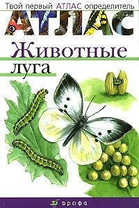 Книга Животные луга