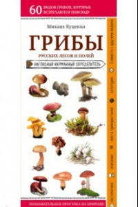 Книга Грибы русских лесов и полей. Наглядный карманный справочник