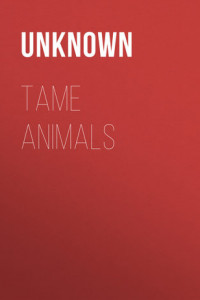 Книга Tame Animals