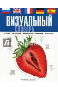 Книга Визуальный словарь: русский, английский, французский, немецкий, испанский