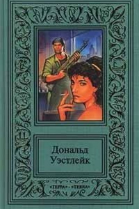 Книга Огненная вспышка