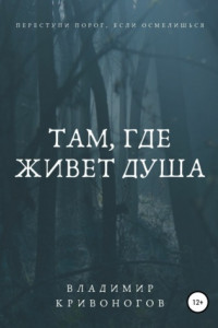 Книга Там, где живет душа