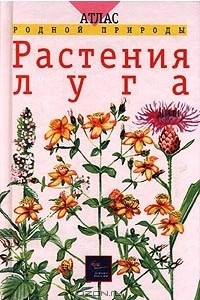 Книга Растения луга