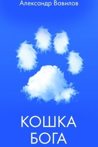 Книга Кошка Бога