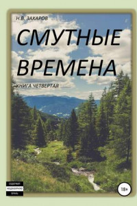 Книга Смутные времена. Книга 4