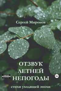 Книга Отзвук летней непогоды