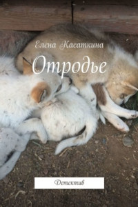 Книга Отродье. Детектив