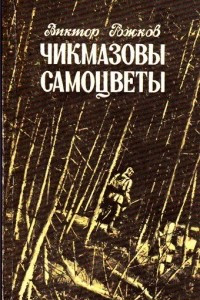 Книга Чикмазовы самоцветы