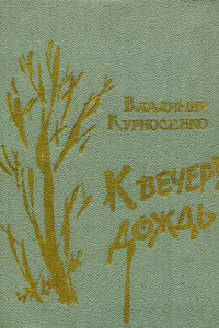 Книга К вечеру дождь