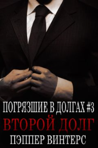 Книга Второй долг