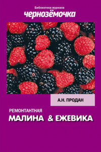 Книга Ремонтантная малина и ежевика