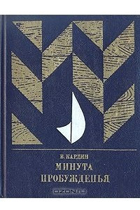 Книга Минута пробужденья