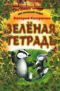 Книга Зеленая тетрадь