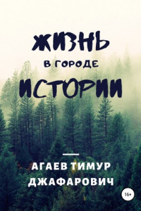 Книга Жизнь в городе «Истории»