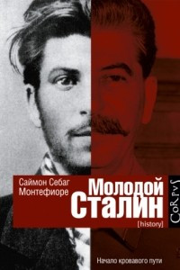 Книга Молодой Сталин