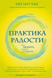 Книга Практика радости. Как любить, ходить, отдыхать