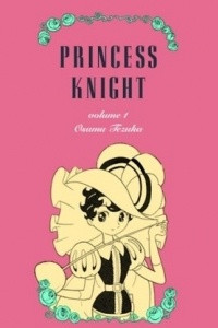 Книга Princess knight