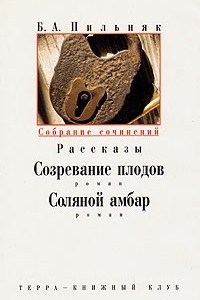 Книга Б. А. Пильняк. Собрание сочинений в 6 томах. Том 6: Рассказы; Созревание плодов; Соляной амбар