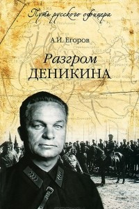 Книга Разгром Деникина