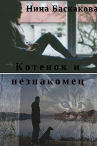 Книга Котенок и незнакомец