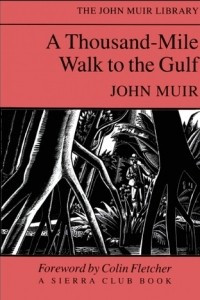 Книга A Thousand Mile Walk to the Gulf