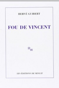 Книга Fou de Vincent