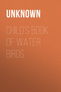 Книга Child's Book of Water Birds