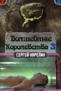 Книга Волшебные королевства 3