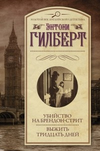 Книга Убийство на Брендон-стрит. Выжить тридцать дней