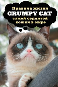 Книга Grumpy Cat. Правила жизни самой сердитой кошки в мире