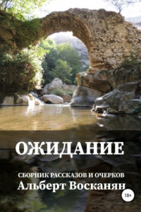 Книга Ожидание