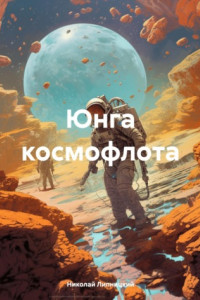 Книга Юнга космофлота